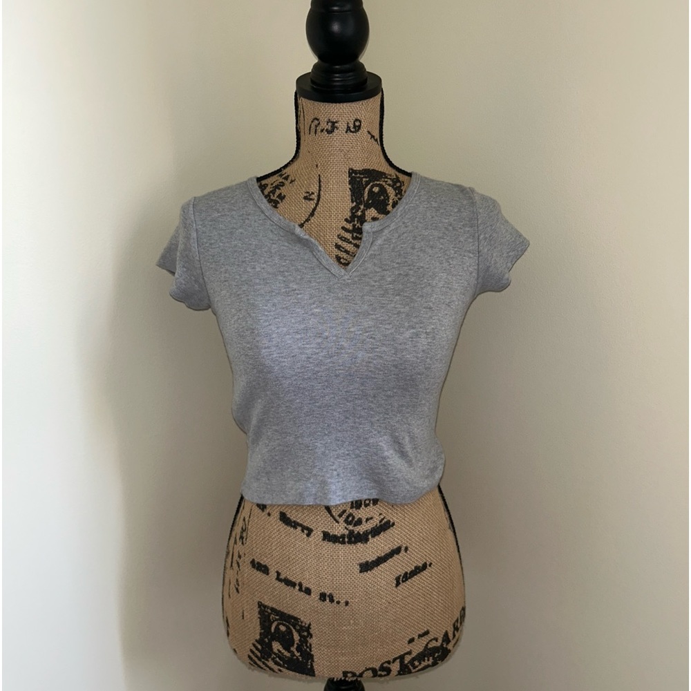 Brandy Melville Gray Crop Top
